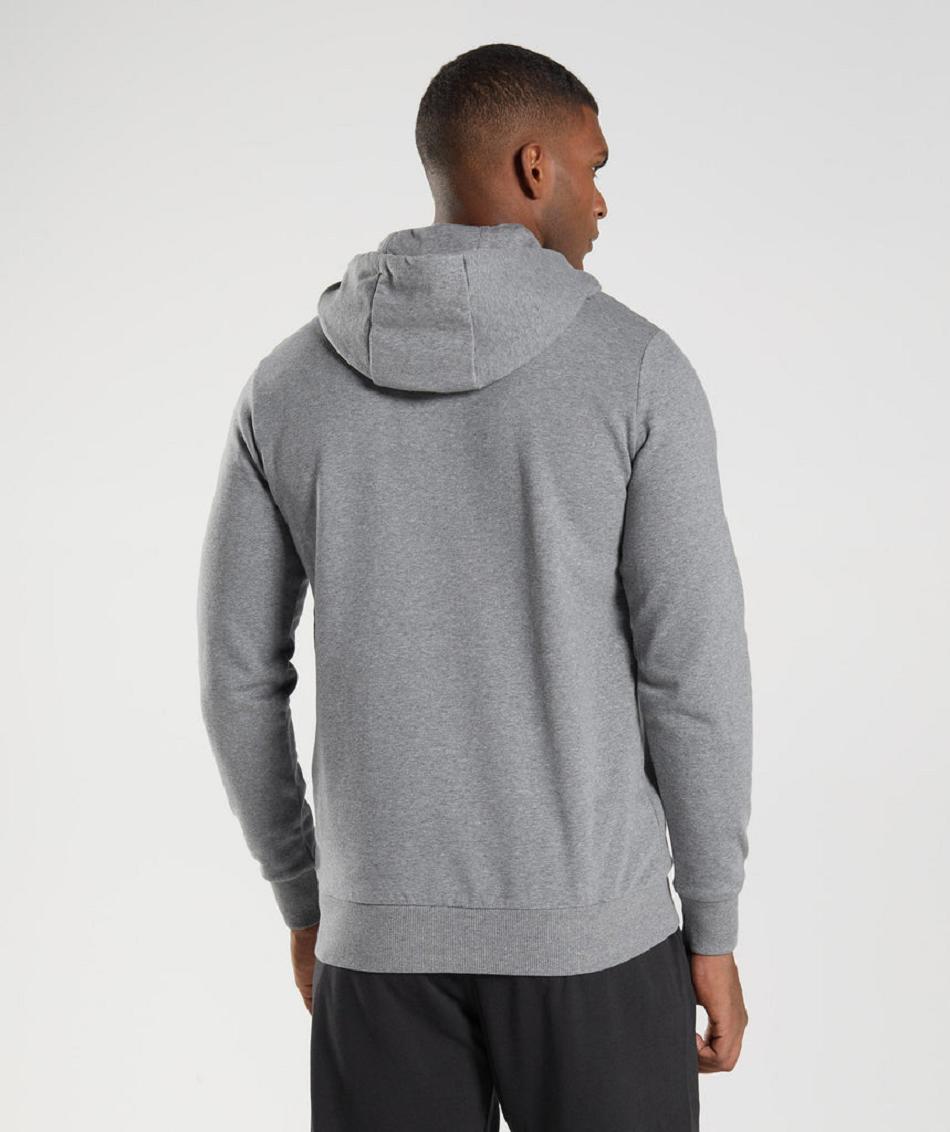 Sudadera Con Capucha Gymshark Sharkhead Infill Hombre Gris | CO 3610PJJ